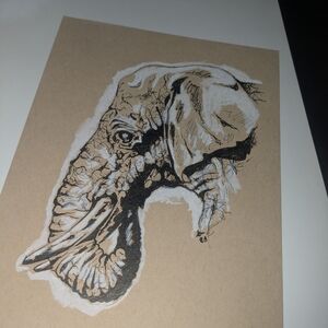 Elephant Illustration Art Print on Tan Canvas